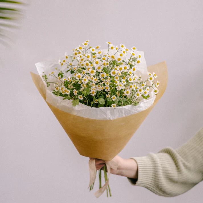 Mini Daisies Wrapped Bouquet